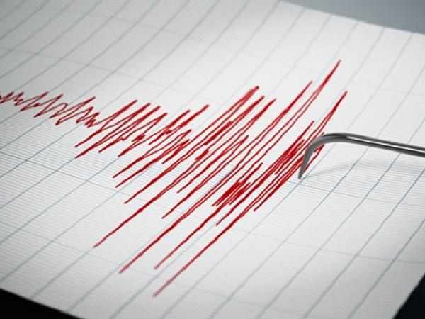 Seismic Testing Results of a Decorative Glass Wall Mounting